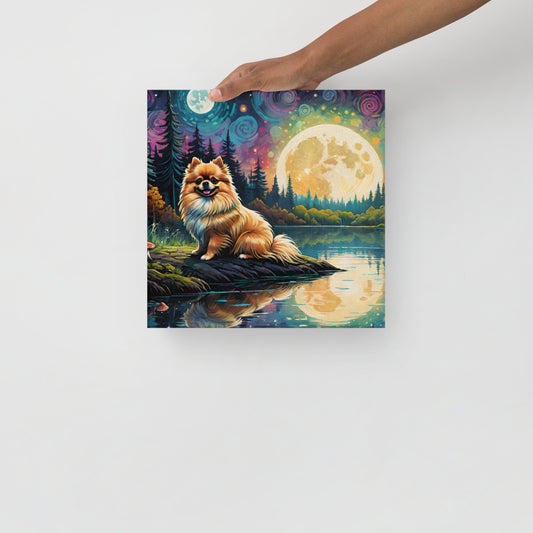 Pomeranian Dog on a Lake on Thin Canvas